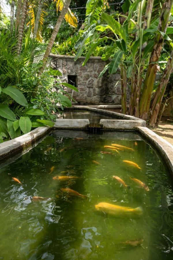 Felicie Cottage & Residence Pointe Au Sel المظهر الخارجي الصورة
